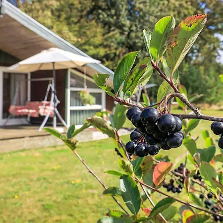 Prázdninový dům 8 Person In Skals-by Traum