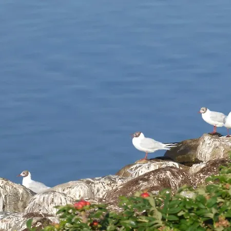 8 Person In Skals-by Traum Skals